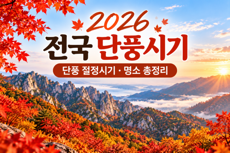 2026 전국 단풍시기 총정리 설악산·내장산 단풍 절정시기와 명소 추천
