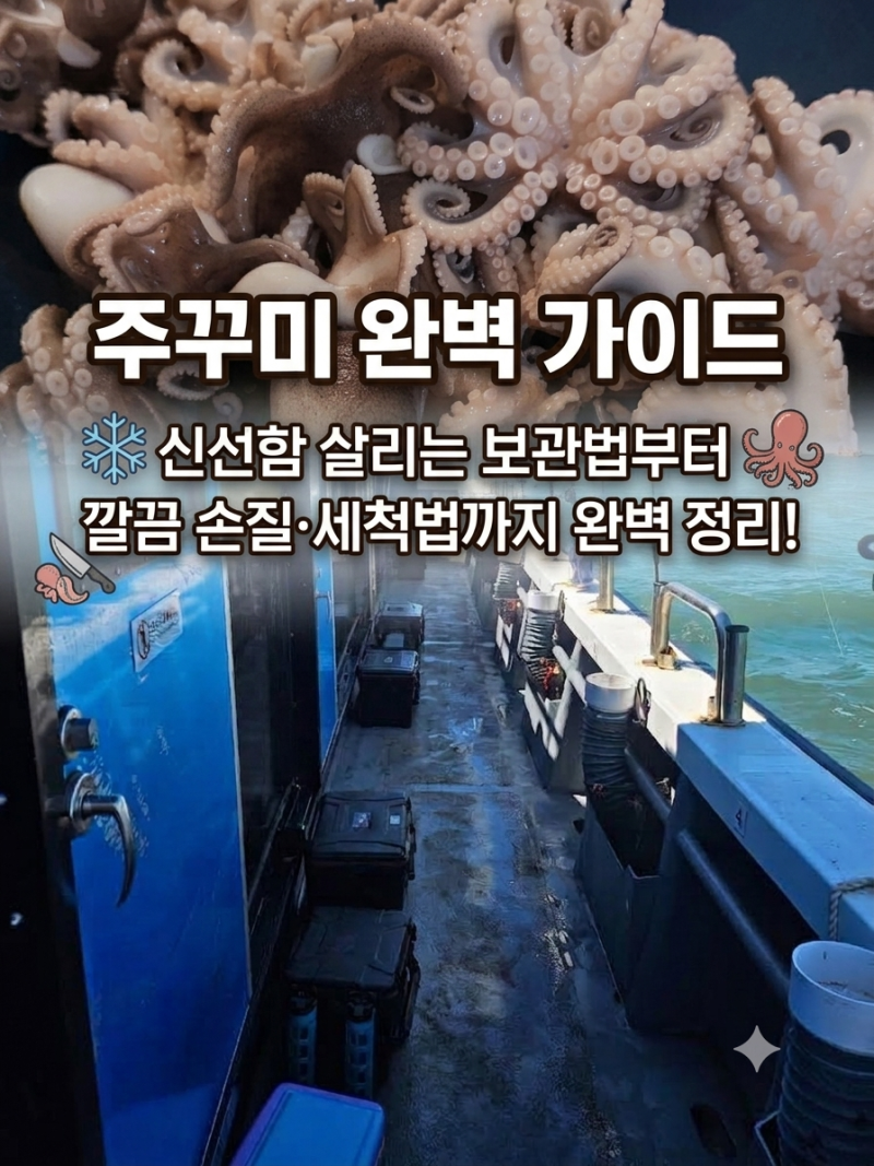 쭈꾸미 237마리 폭풍 낚시! 신선함 살리는 보관법부터 깔끔 손질·세척법까지 완벽 정리