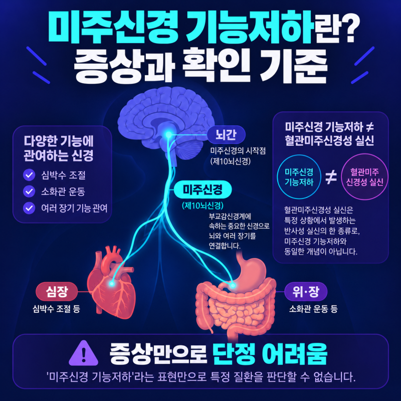 미주신경 기능저하란? 증상만으로 판단하면 안 되는 이유