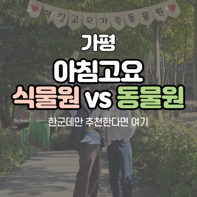 가평 아침고요 수목원 vs 동물원, 한 군데만 추천한다면 여기