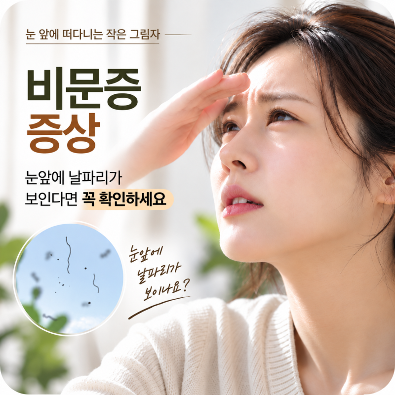비문증 증상, 눈앞에 날파리가 보인다면 꼭 확인하세요