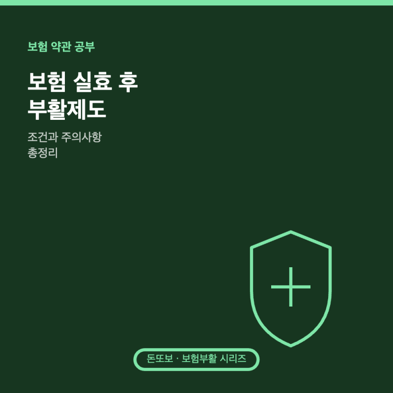 보험 실효 후 부활제도 - 조건과 주의사항 총정리
