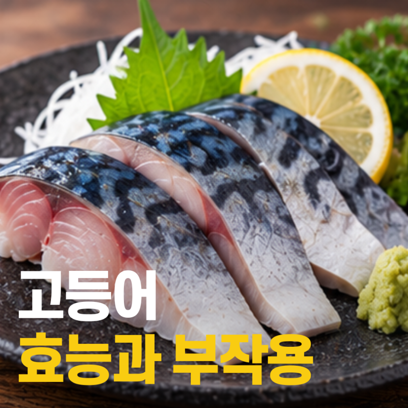 고등어 효능과 부작용, 자주 먹기 전 알아둘 점