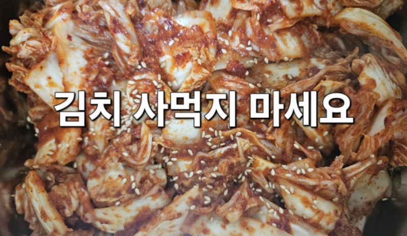 [초간단 레시피] 알배추 한 포기로 만드는 여름 맛김치 겉절이 (아이들도 잘 먹어요!)