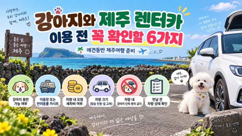 강아지와 제주 렌터카 이용할 때 꼭 확인할 6가지｜애견동반 제주여행 준비
