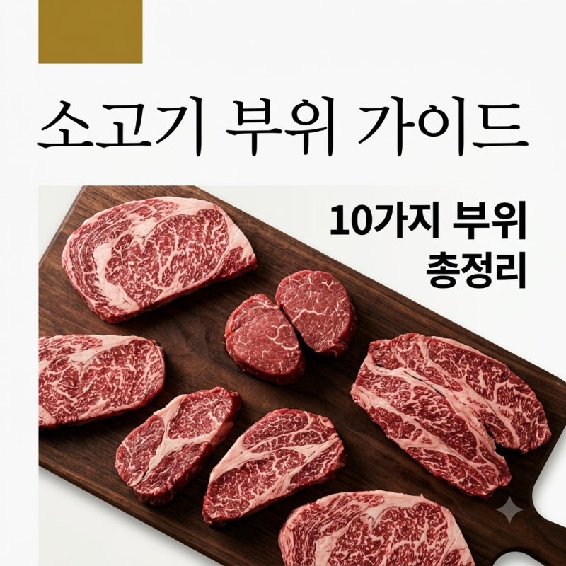 소고기 부위별 특징 "모르면 돈 낭비" 10가지 완벽 총정리 | 한우 요리 용도 가이드