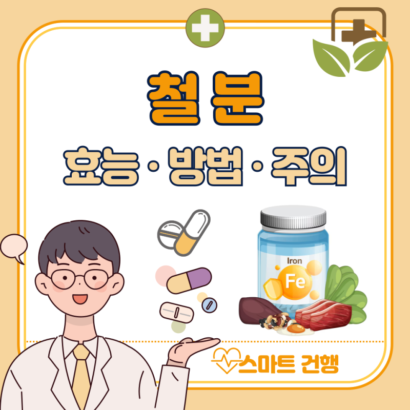 철분 효능 5가지, 철분 부족 증상 : 철분이 많은 음식 3가지