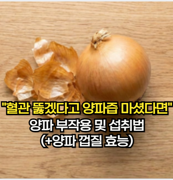 양파 효능, "혈관 뚫겠다고 매일 양파즙 마셨다면" 양파 부작용 및 섭취법 (+양파껍질 효능)
