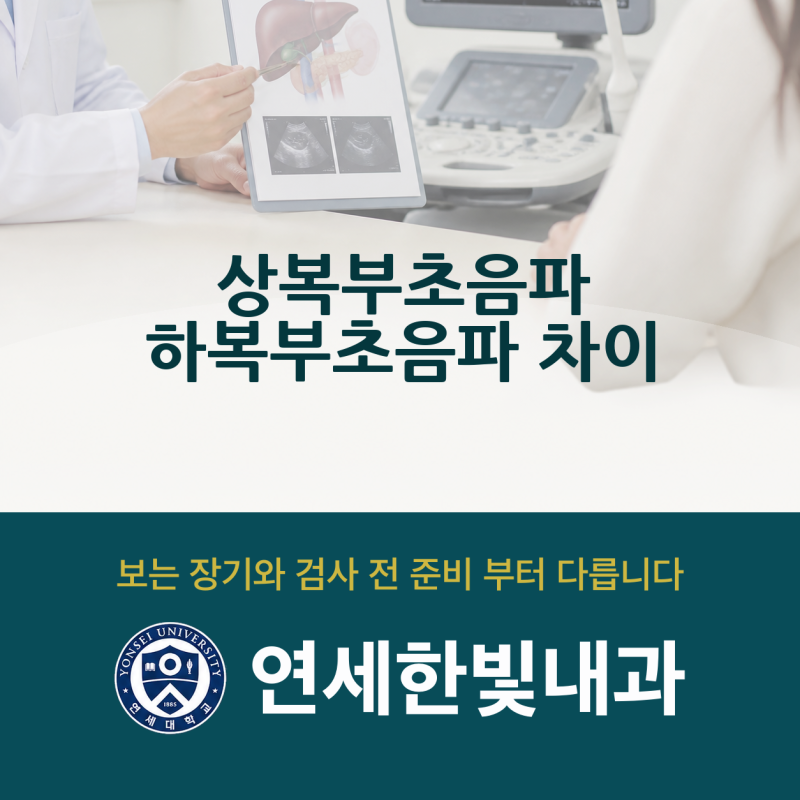 상복부 초음파와 하복부 초음파의 차이