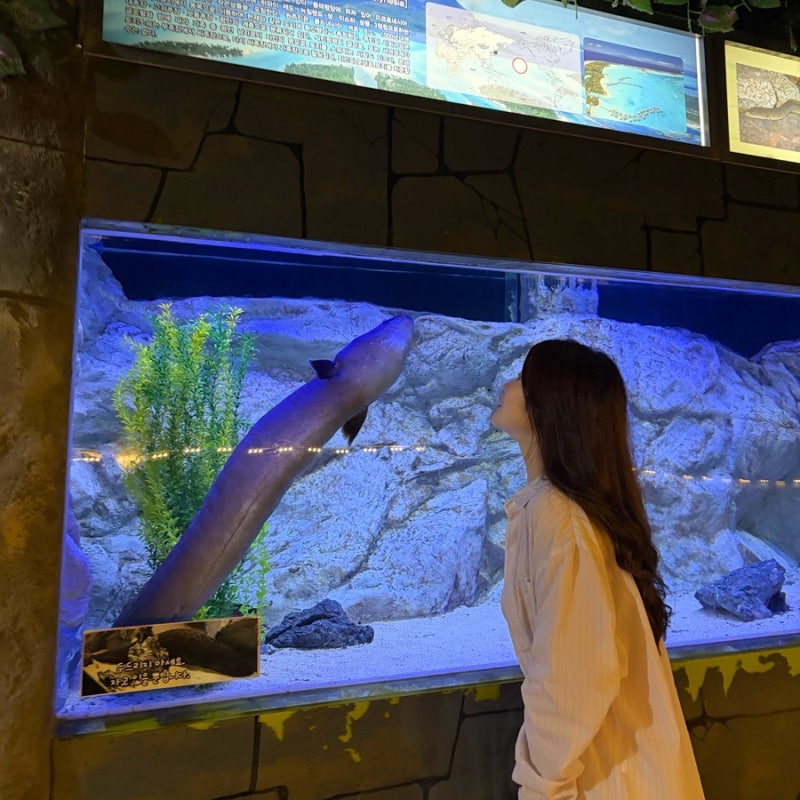 9월 추석 연휴 아이와 어디 갈까? 부산·대구·대전 아쿠아리움 3곳 입장료 주차 볼거리 등 총....