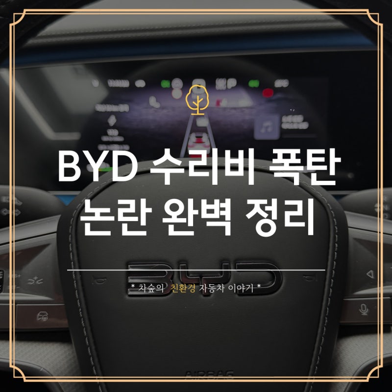 BYD 수리비 폭탄 논란 정리, 부품값보다 공임비가 더 비싼 이유