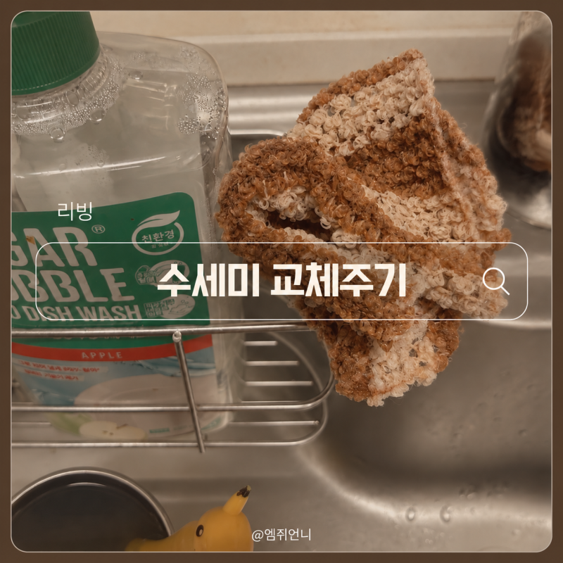수세미 교체주기 | 멀쩡해 보여도 바꿔야 하는 이유