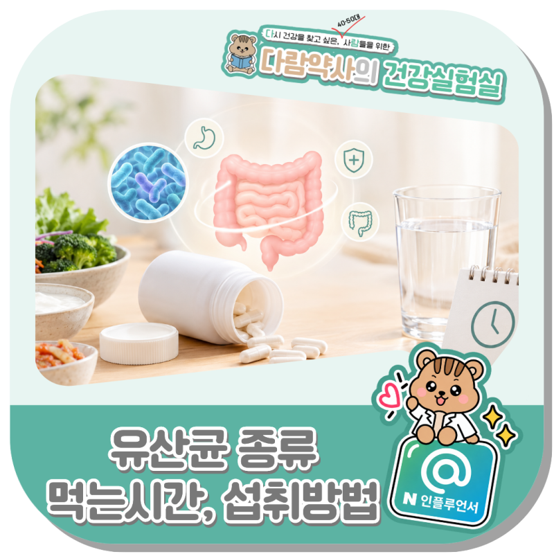 유산균 종류, 먹는시간 섭취방법 한 번에 정리 (2026년 기준)