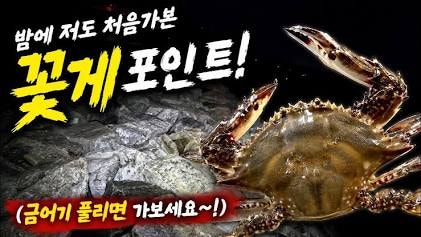 [서해안 해루질 총정리] 요즘 갯벌에서 뭐가 나올까? 물때부터 황금 포인트, 장비까지 완전 ....