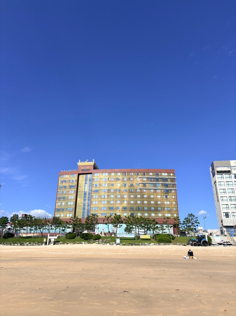 Soller Hotel: Daecheon Beach, Boryeong 4-Star Soller Hotel, Weekday Breakfast (A La Carte), Good for Traveling with a Baby