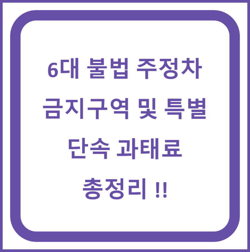 6대 불법 주정차 금지구역 및 특별 단속 과태료 총정리 !!