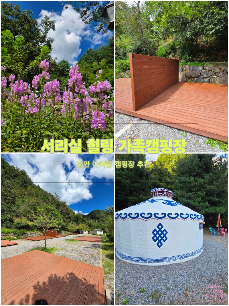 충남 캠핑장 장박추천 세종 청주 근교 캠핑장 "서리실힐링가족캠핑장" 천안캠핑장 추천