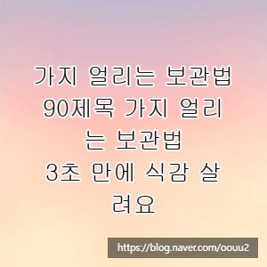 가지 얼리는 보관법, 90제목 가지 얼리는 보관법, 3초 만에 식감 살려요