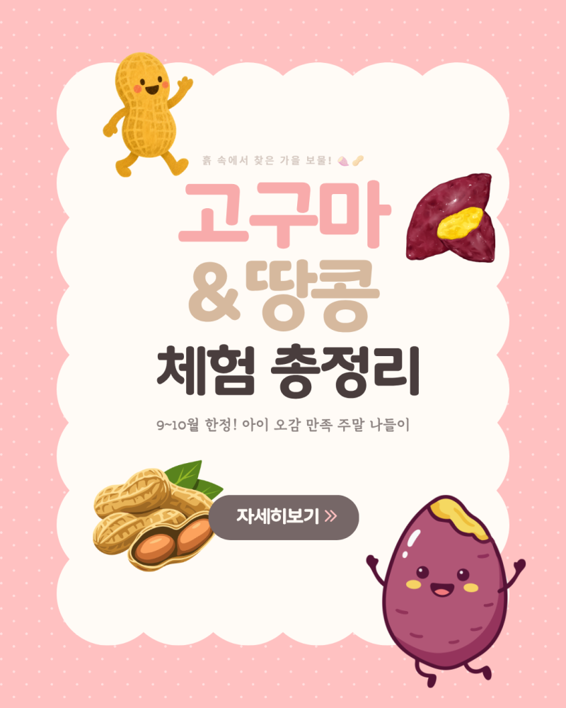[가을 체험학습] 서울근교 고구마 , 땅콩 캐기 농장 (준비물, 캐는 요령, 보관 꿀팁)