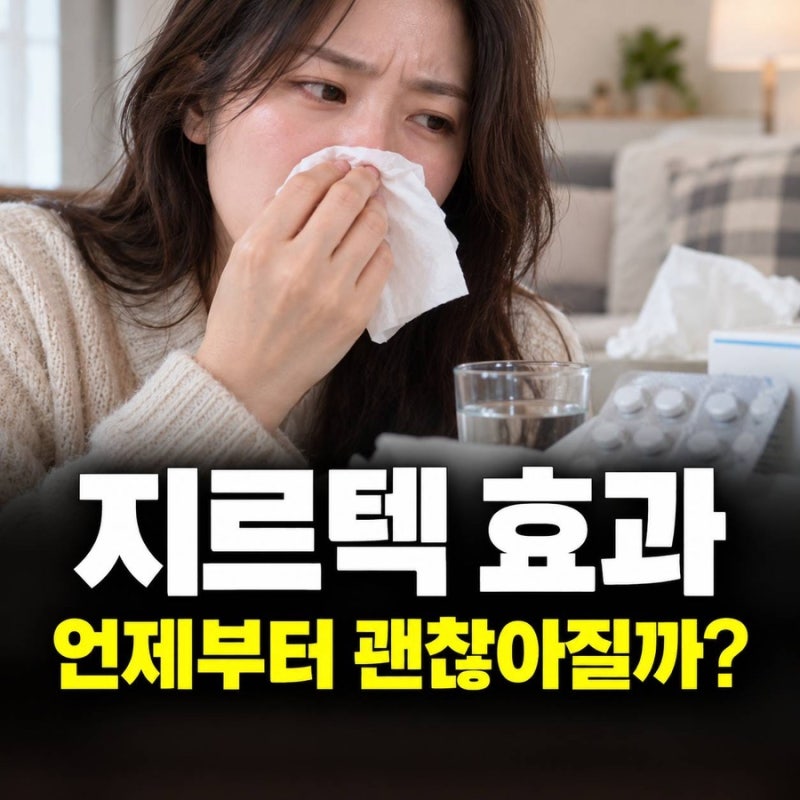 지르텍 효과, 알레르기 콧물 가려움에 먹으면 언제부터 괜찮아질까?