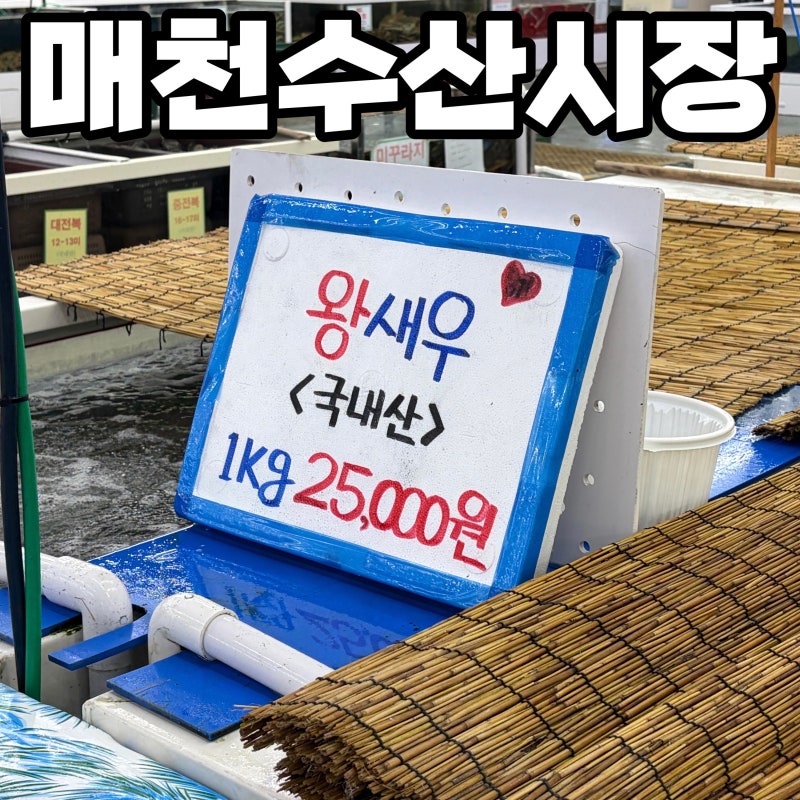 대구 매천수산시장 생새우 구매 후기