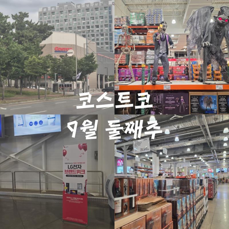 코스트코 9월 둘째주 할인정보, LG브랜드위크 주방가전 추석선물세트 할로윈 등등