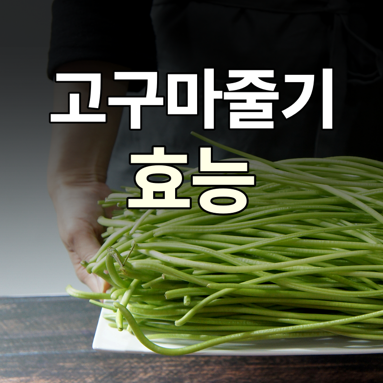고구마줄기효능 총정리, 뿌리보다 이게 더 좋다고요?