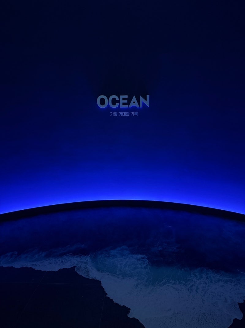서울] 충무아트센터 내셔널지오그래픽 전시회 OCEAN 관람후기 | 관람료, 귀여운 굿즈까지