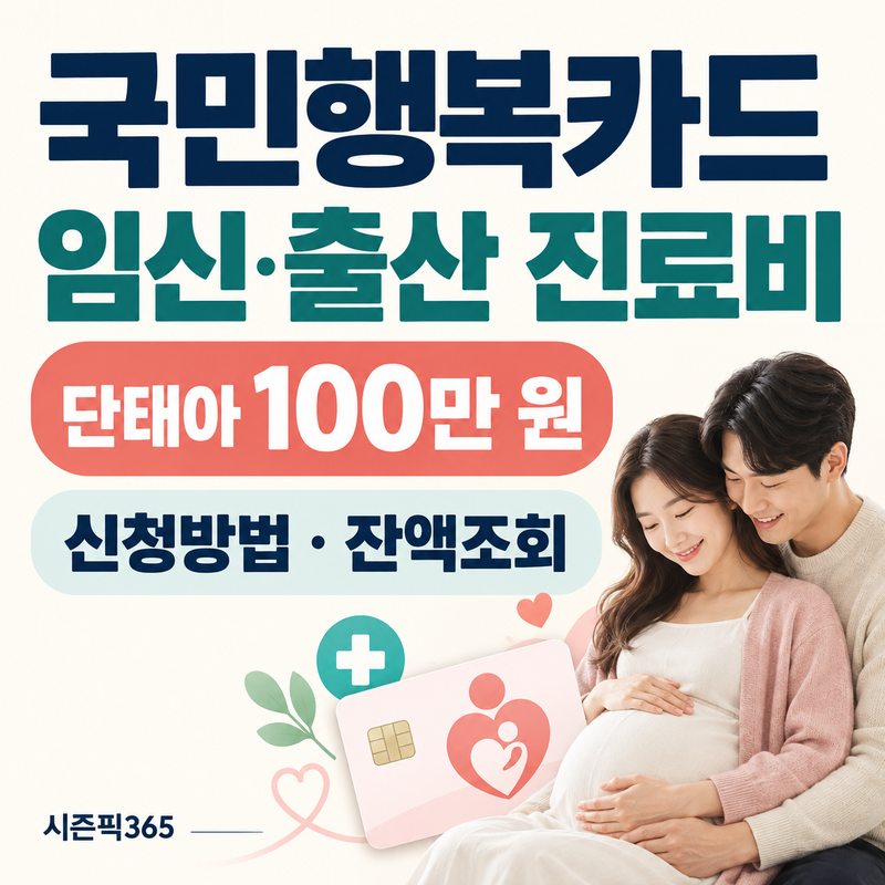 국민행복카드 임신출산진료비 신청방법, 100만 원 바우처 잔액조회와 사용기간