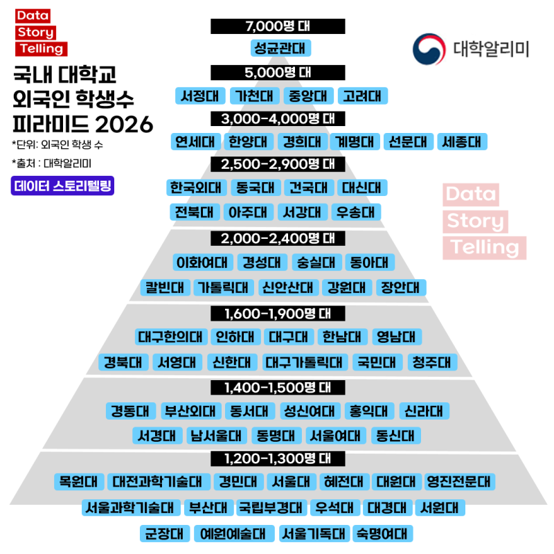 국내 대학교 외국인 학생수 체급 피라미드 2026