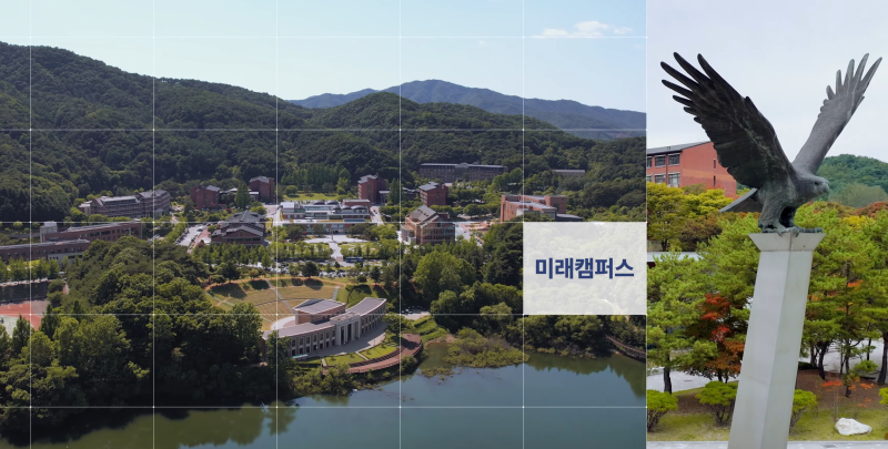 연세대학교 미래캠퍼스 입결, 연세대 수시등급 2026학년도 경쟁률 정리