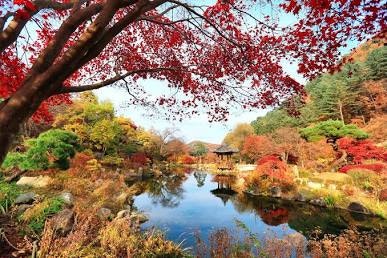 [가평 여행] 아침고요수목원 입장료부터 주차, 예약 방법까지 완벽 가이드