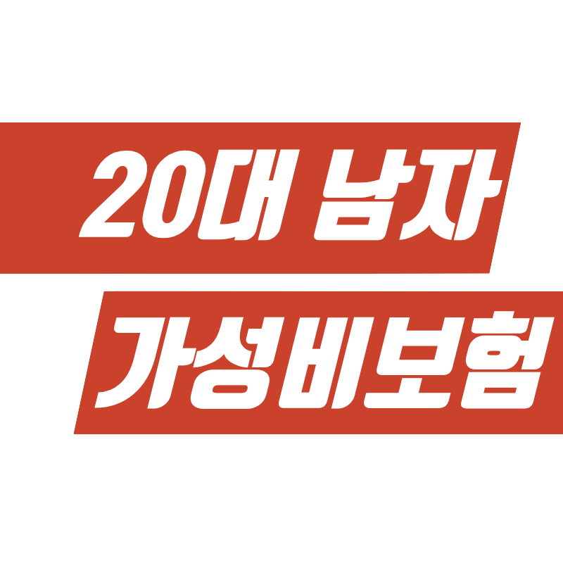 20대 남자 가성비 보험 추천