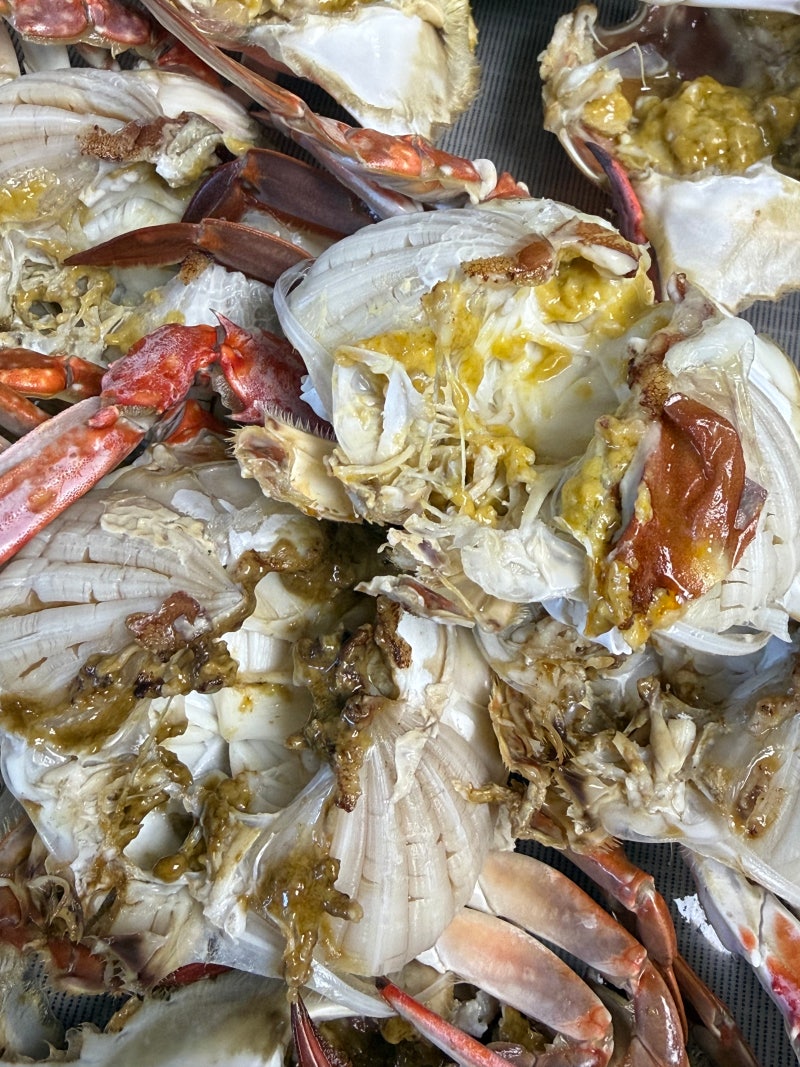 김포 대명항 수산물 직판장 9월 꽃게, 새우 시세 및 생물 꽃게 손질법