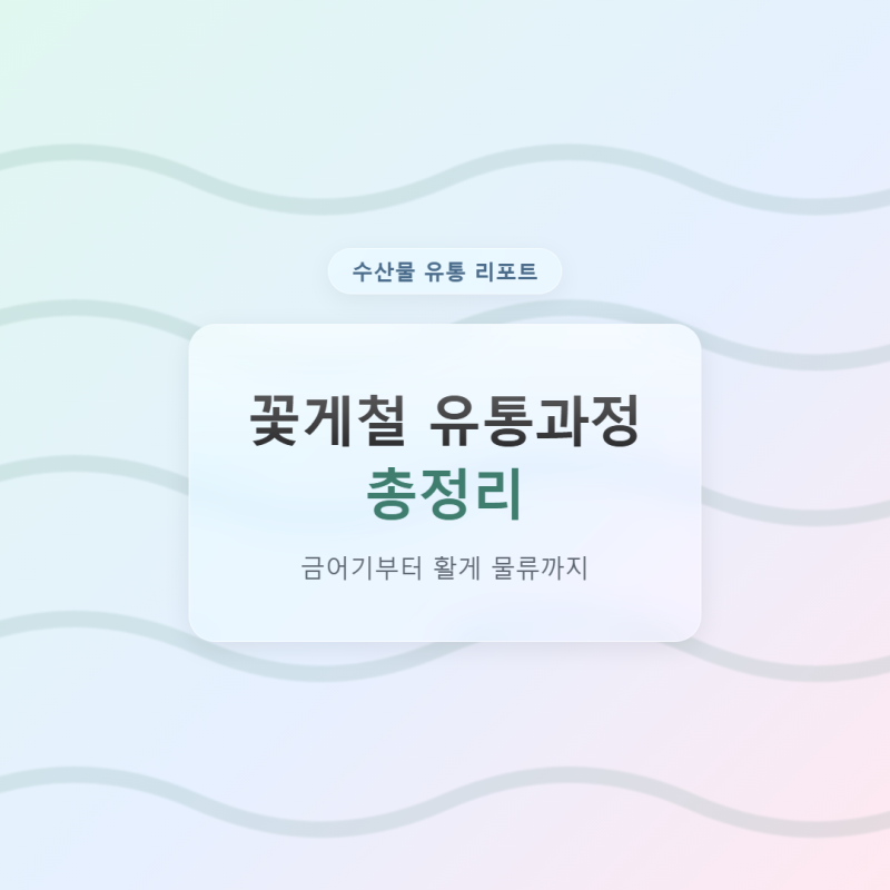 꽃게철 유통과정 총정리, 금어기부터 활게 물류까지
