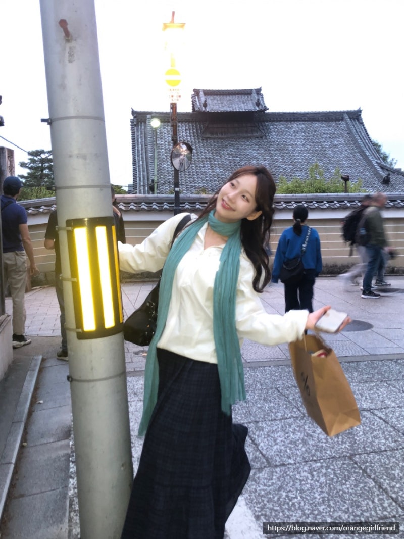 오사카에서 교토 당일치기 자유여행 뚜벅이 코스 총정리 2탄 (니시키시장 청수사 기온거리)