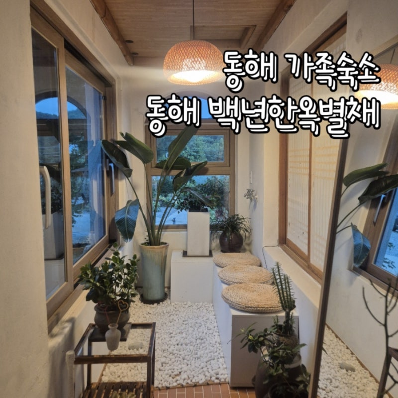소시탐탐 소녀시대숙소였다고? 동해 가족숙소 동해 에어비앤비숙소추천 동해 백년한옥별채