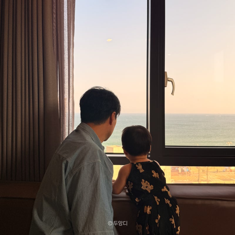 부산 송정 호텔 아기랑 가기 좋은 가성비 숙소 추천 하운드 후기