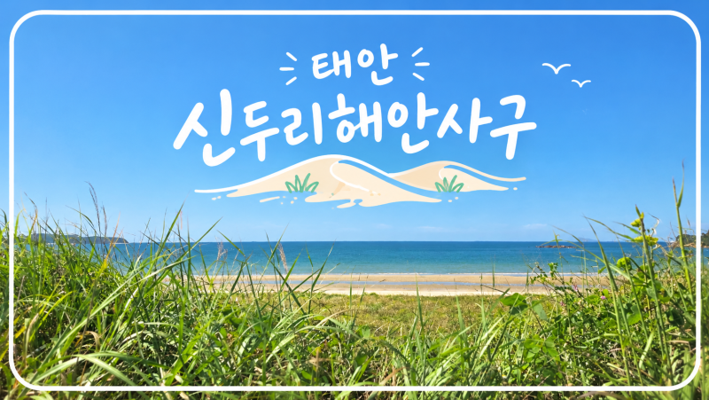 [충청 태안] 태안 가볼만한곳｜신두리해안사구, 처음 간다면 알아두면 좋은 코스·주차·여행....