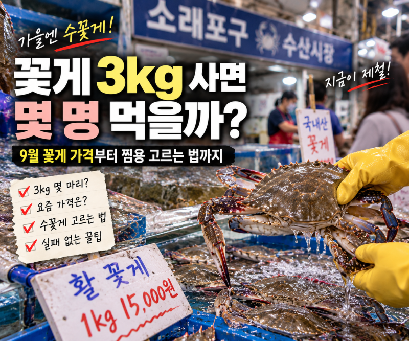 꽃게 3kg 사면 몇 명 먹을까? 9월 꽃게 가격부터 찜용 고르는 법까지