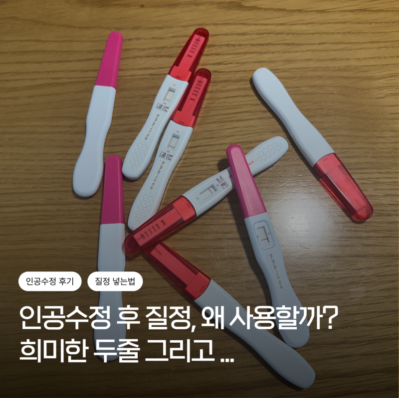인공수정 후 질정 사용 이유와 넣는법｜프로게스테론 질정 14일 사용 후기