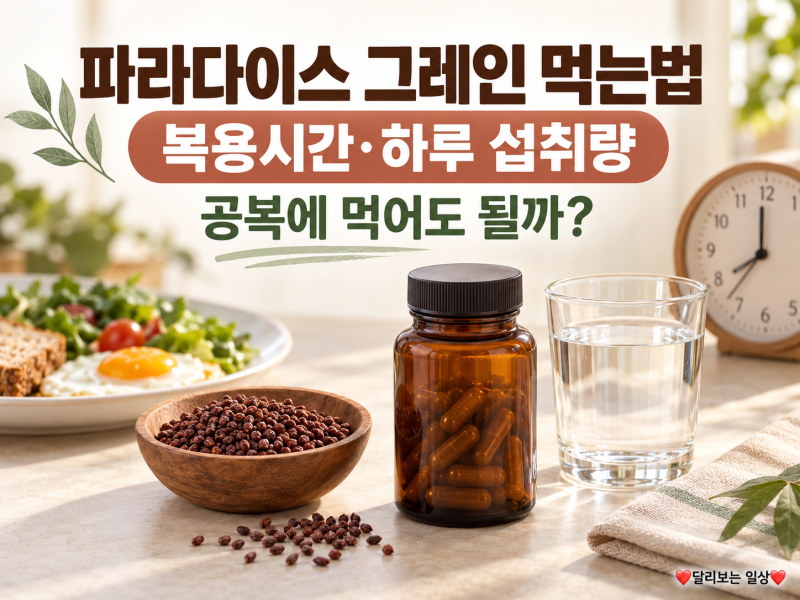 파라다이스 그레인 먹는법, 복용시간·하루 섭취량과 공복 섭취 주의점