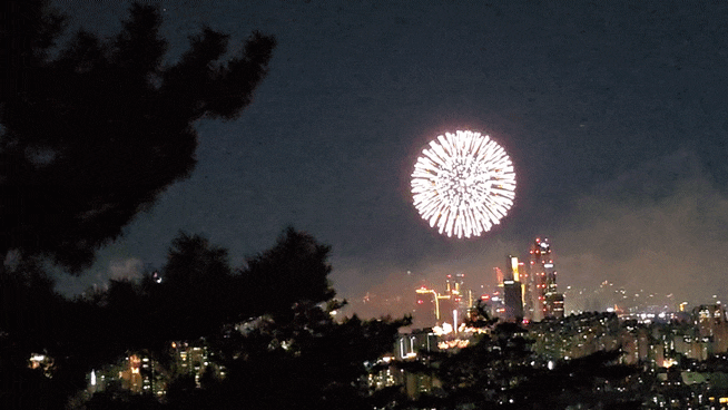 [2025 vs 2026 서울세계불꽃축제 비교] 여의도에서 남산까지… 불꽃 찾아 삼만리! 결국 찾았다 ....