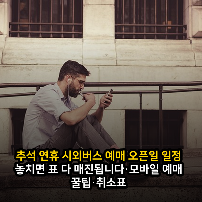 추석 연휴 시외버스 예매 오픈일 일정 놓치면 표 다 매진됩니다·모바일 예매 꿀팁·취소표
