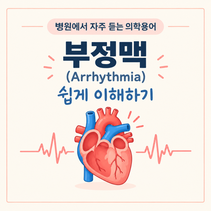 병원에서 자주 듣는 의학용어 │ 부정맥(Arrhythmia) 쉽게 이해하기