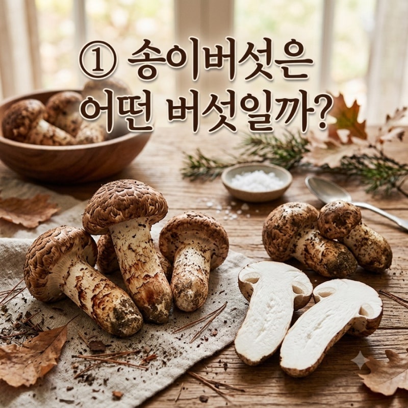 송이버섯을 손질 보관 신선하고 맛있게 먹는법
