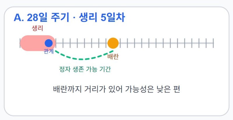생리 5일차 관계, 임신 가능성이 있을까요?