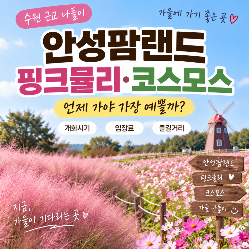 2026 안성팜랜드 핑크뮬리·코스모스 언제? 개화시기·입장료 정리