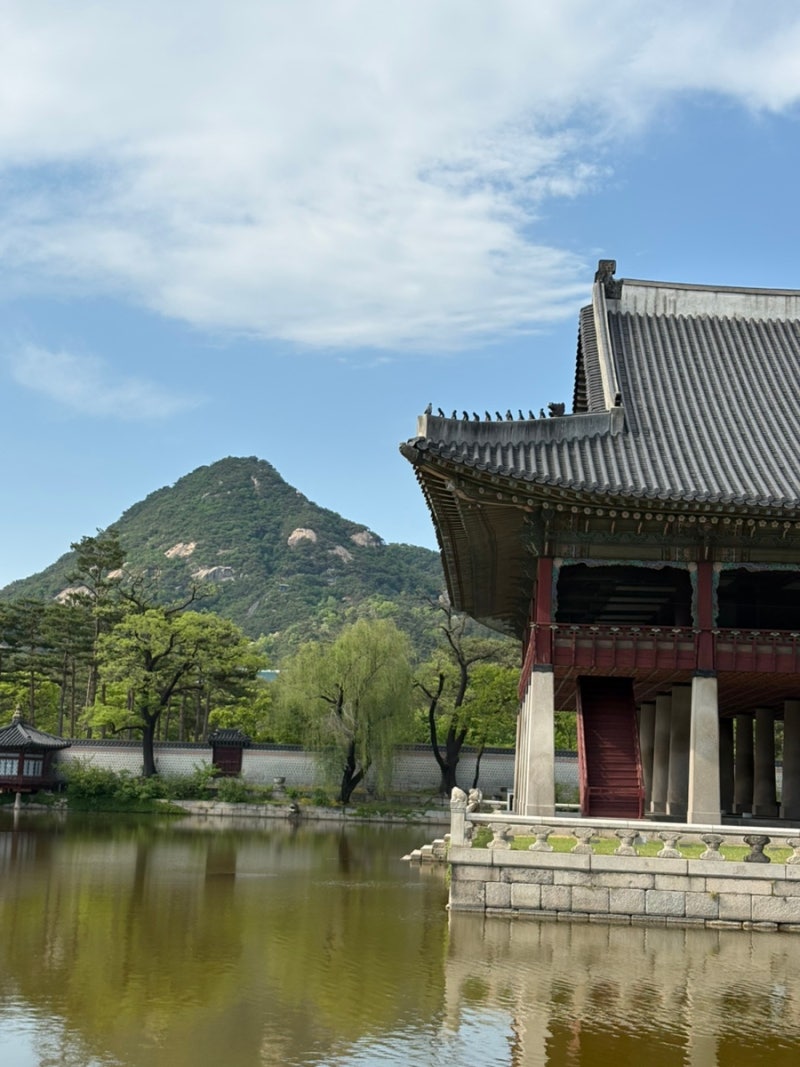 주말 서울 나들이 가볼만한곳 경복궁 입장료 주차장 (무료 입장 꿀팁)