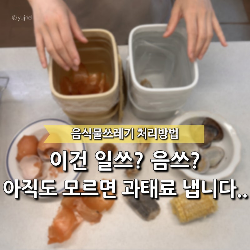 “10명 중 몇 명이나 제대로 알까..?” 매번 헷갈리는 음식물쓰레기 분리수거방법